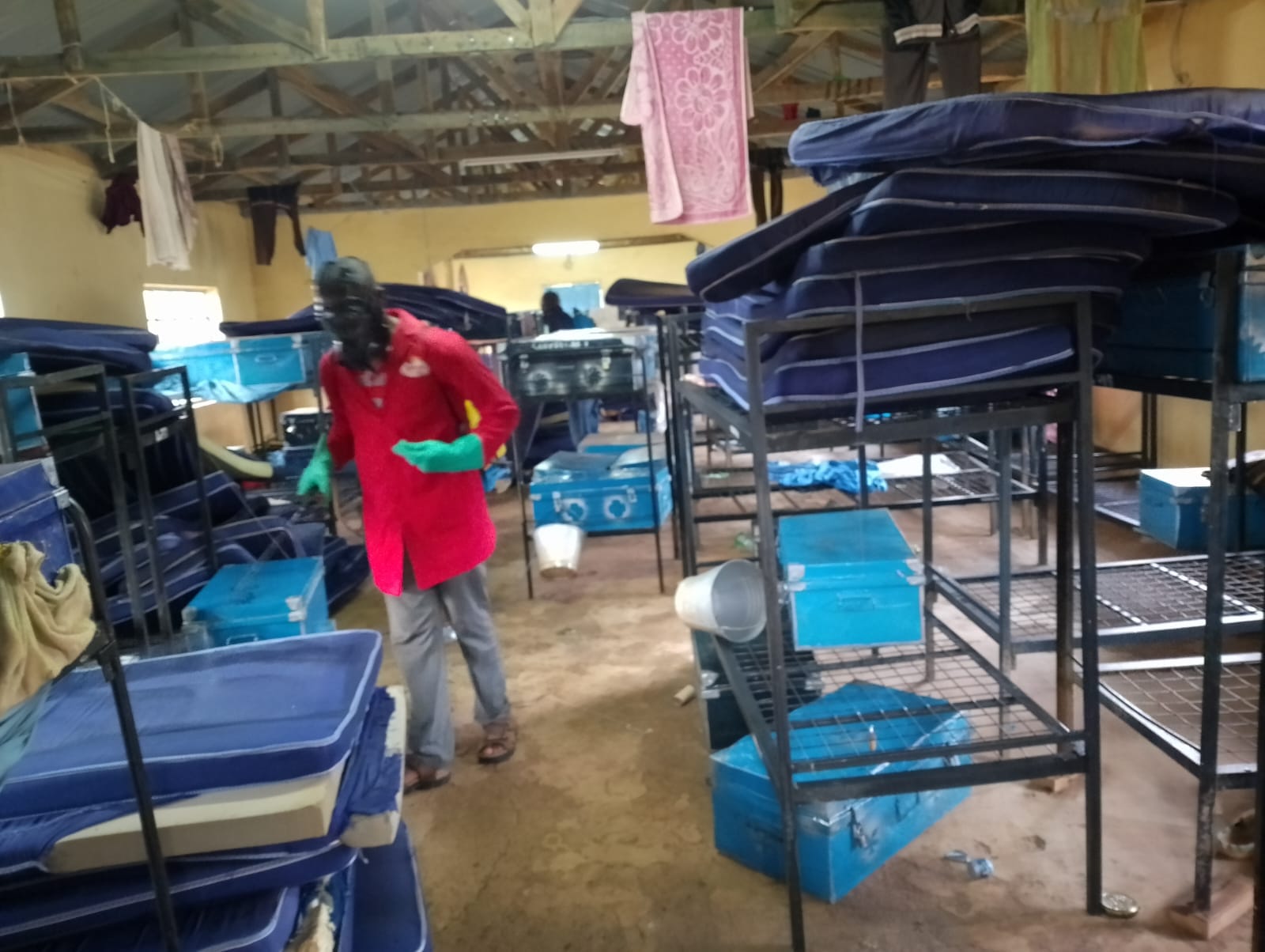 Best Bed Bug Fumigation In Homa Bay